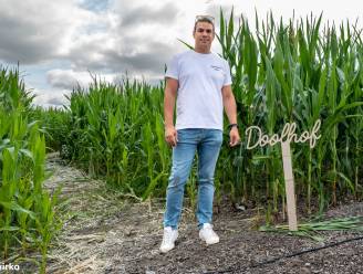 Zomerbar De Loereman opent maïsdoolhof van 5.000 vierkante meter: “Enorm avontuur voor de kinderen”