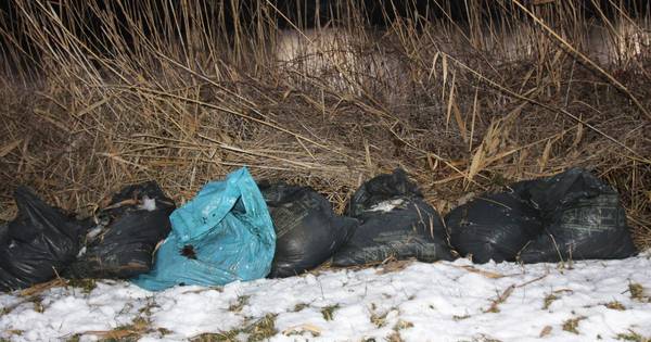 Zakken wietafval gedumpt langs het water - De Gelderlander