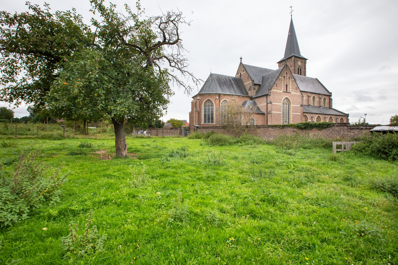 Iedereen feest tijdens Gezinsdag in Heers Foto hln.be