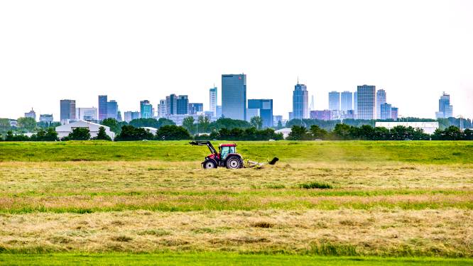 Gapende kloof stad, platteland en politiek: vooral boeren zijn het vertrouwen kwijt