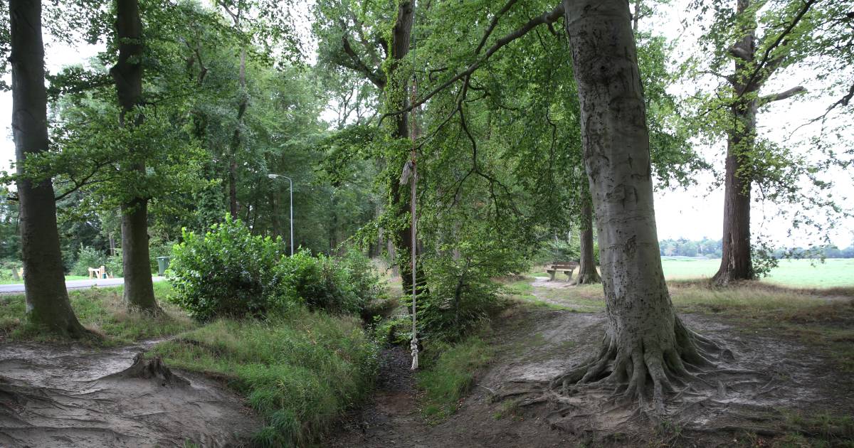 17-jarige jongen aangehouden voor zedenzaak Empe