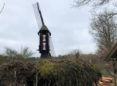 Molen Leenderstrijp gekortwiekt; reparatie eind van het jaar klaar