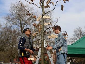 Multiculturele verenigingen planten respectboom in stadspark