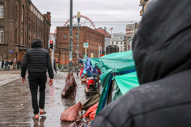 Tentjes van asielzoekers staan opgesteld aan het Klein Kasteeltje in Brussel. Beeld AP