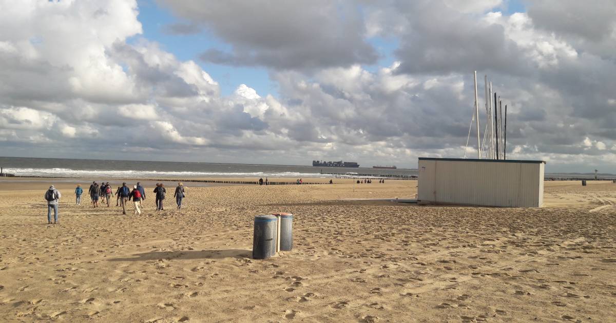 Ruim 1900 wandelaars op pad over West-Zeeuws-Vlaamse stranden