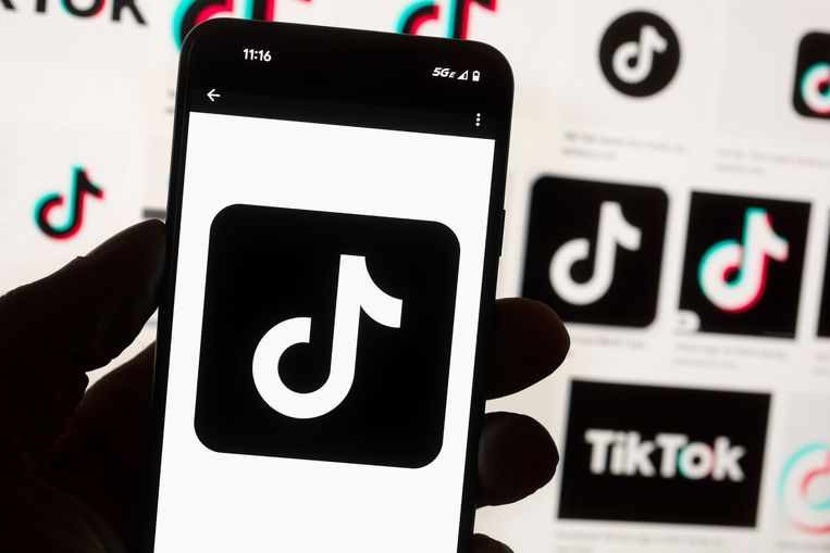TikTok logo op een mobiele telefoon.  Beeld AP, Michael Dwyer