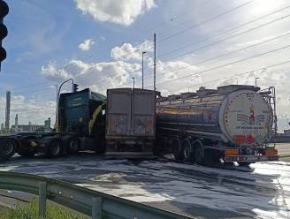 Vier vrachtwagens botsen op Hollands Complex in Waaslandhaven