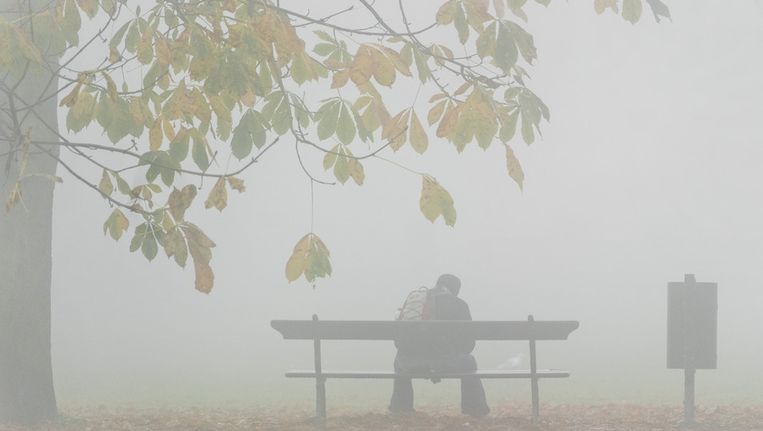 Depressie behandelen is duur, niets doen duurder - Trouw