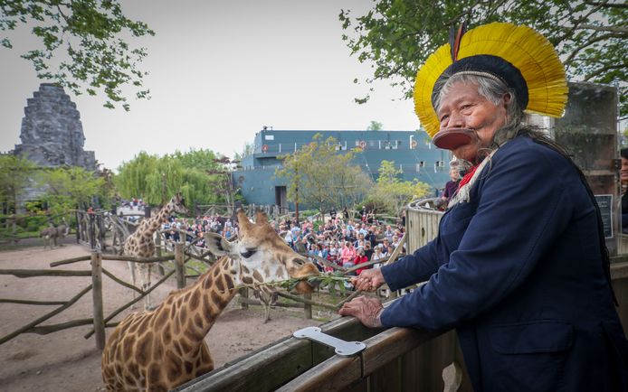 Raoni Metuktire à Pairi Daiza en mai dernier