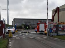 Brand in loods met pallets in Nieuwdorp