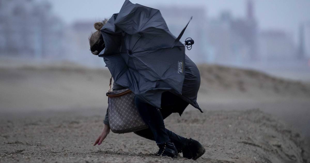 On Saturday Again Strong Gusts Of Wind Risk Of Storm In The Wadden Area Inland Netherlands News Live