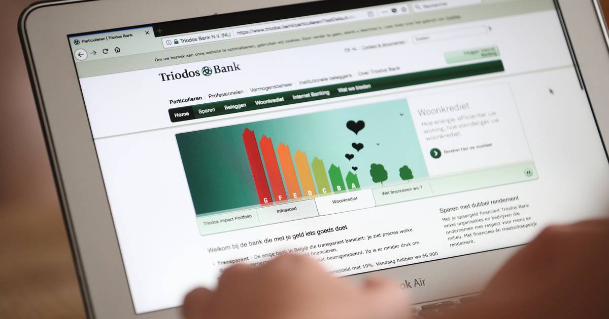 The FSMA warns of fraudsters pretending to be Triodos or another bank  Economy