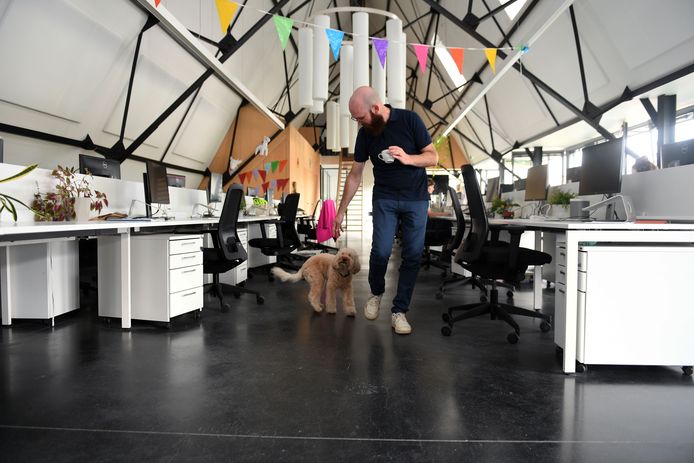 'Take your dog to work day' KU Leuven en AAP vzw brengen kantoorhonden naar de werkvloer