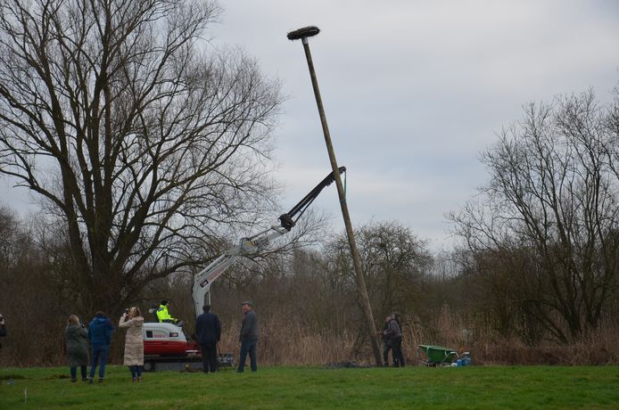 De ooievaarspaal werd geplaatst op het domein van kaatsvereniging de Amusanten aan de Fonteinstraat.