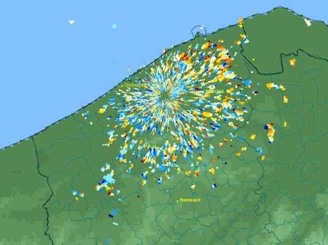 Tijdens eindejaarsvuurwerk barstte de hel los voor de vogels in ons land : radarbeelden tonen hoe ze massaal wegvlogen
