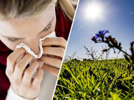 Extreem veel pollen in de lucht: hoe hard slaat hooikoorts nu toe?