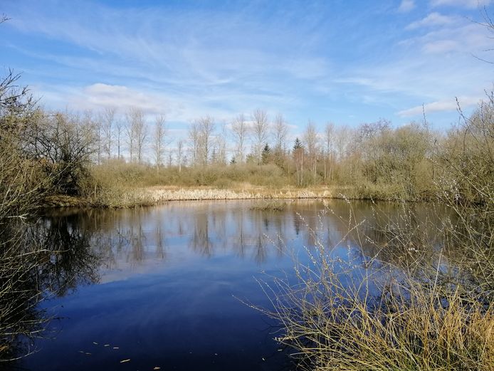 Een mooi doorkijkje in drassig natuurgebied t Sang-Goorkens in Mierlo