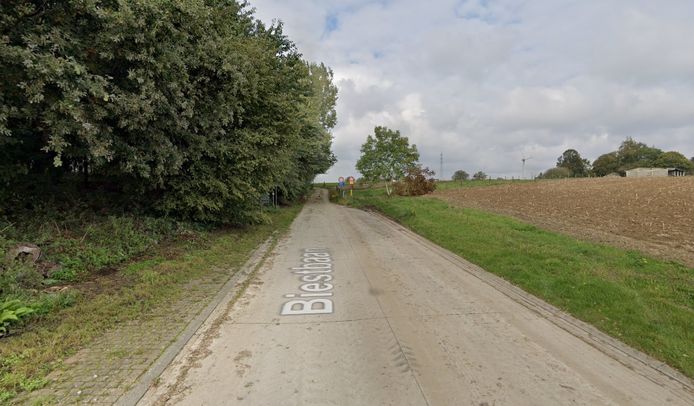 De Biestlaan in Iddergem.