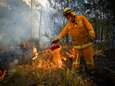 Australische staat Victoria verlengt noodtoestand door aanhoudende bosbranden