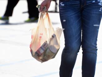 PvdA wil verbod gratis plastic tas in 2015