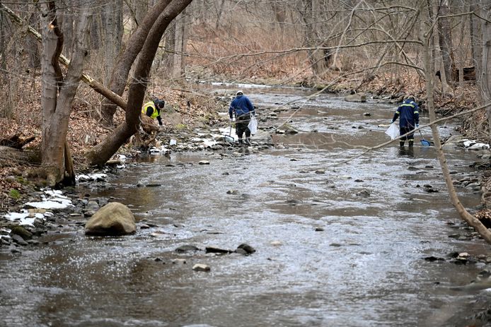 Dode vissen worden uit een rivier gehaald in de buurt van East Palestine (Ohio), waar een trein met chemicaliën ontspoorde.