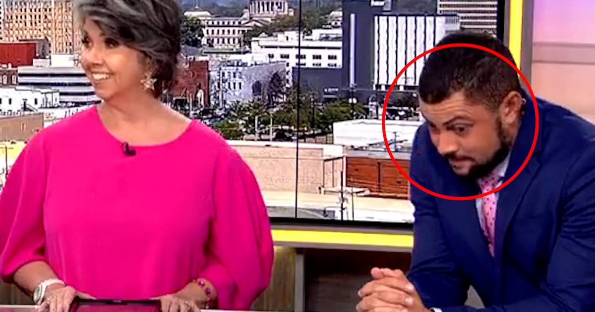 www.hln.be