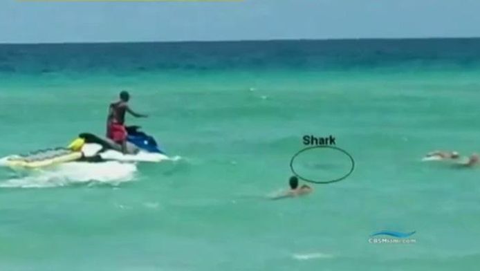 CBS Miami/ Rob Boyte 