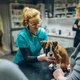 Het hondenleven van de dierenarts