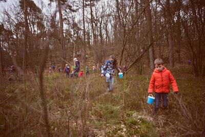 Op zoek naar het gouden paasei