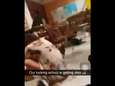 VIDEO: Studenten verschansen zich in klas, terwijl schutter vuur opent op school