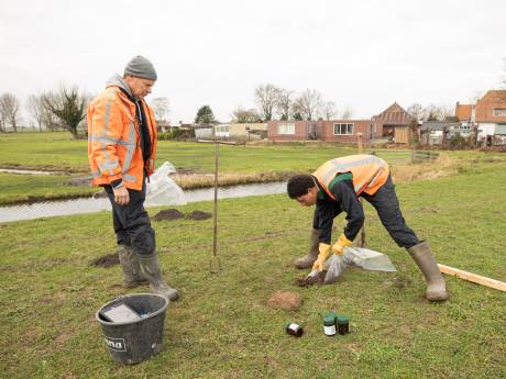 Opruimen vervuilde grond Westdijk kost 34 miljoen, de vraag is wie dat gaat betalen