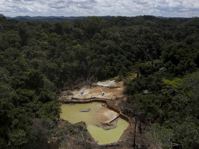 Brazilië trekt mijnvergunning voor Amazonewoud in