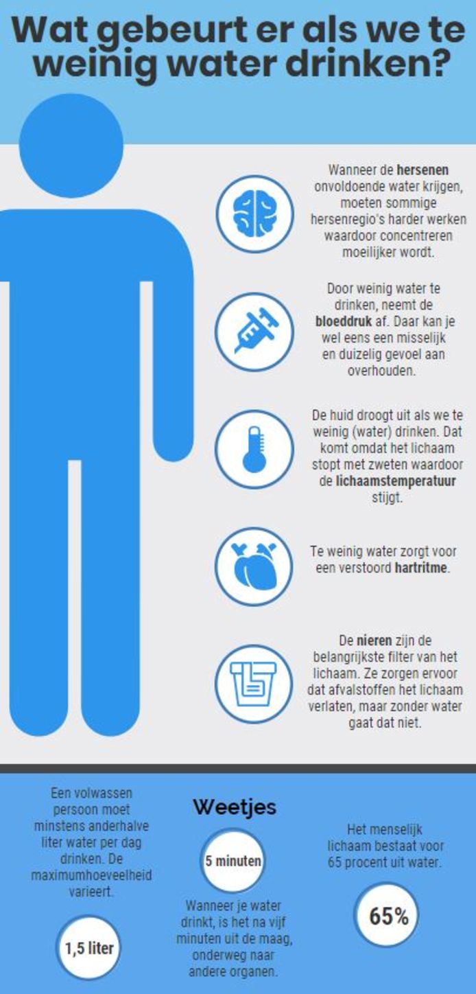 Zijdelings Metafoor drijvend Wat gebeurt er met je lichaam als je onvoldoende water drinkt? | Wetenschap  & Planeet | hln.be