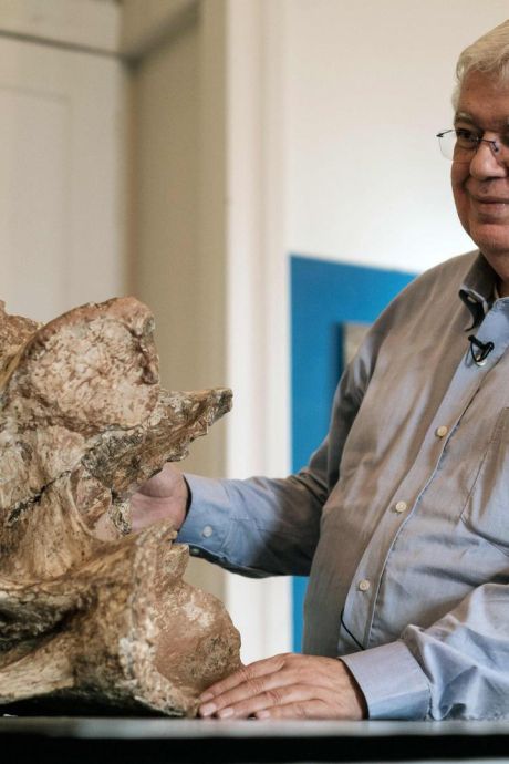 Le Brésil retrouve son plus grand dinosaure... dans un placard