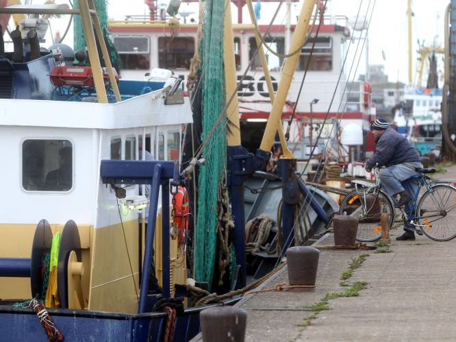 Belgische vissers mogen opnieuw vlak bij Britse kust aan de slag