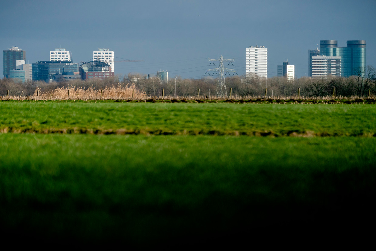 Het poldergebied Rijnenburg ten zuidwesten van Utrecht. Projectontwikkelaars hebben er veel grond en willen er woningen bouwen.