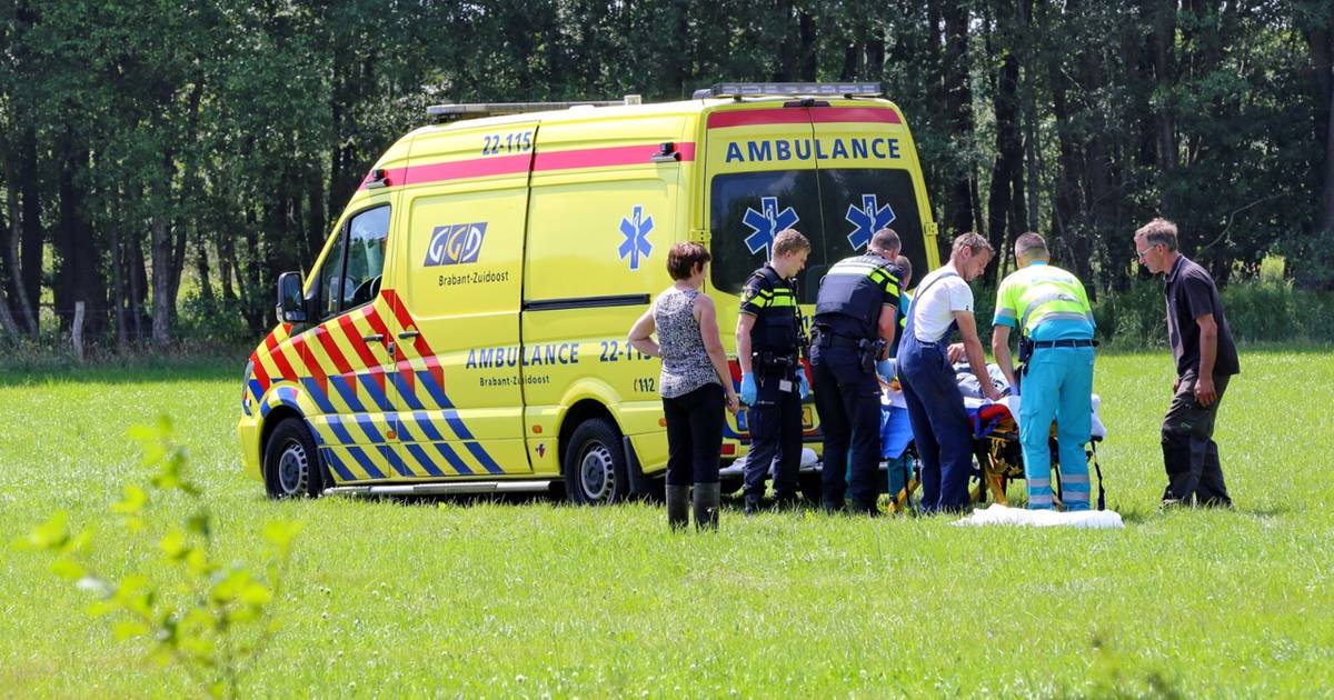 Koe loopt boer omver in Netersel; man zwaargewond naar het ziekenhuis