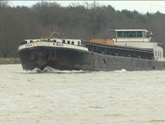 Vissen verdwijnen in Albertkanaal... door te proper water