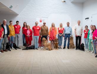 Vijftien blindengeleidehonden studeren af en krijgen een diploma