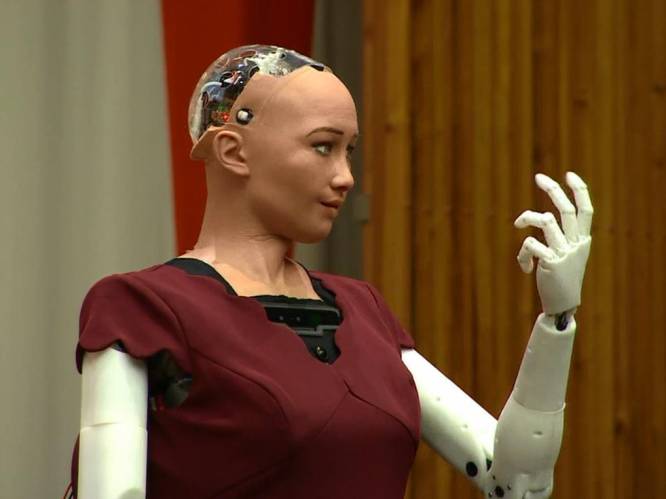 "Ik ben hier om de mensheid te helpen": griezelig echte robot spreekt VN toe