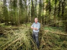 Archeologische parel aan de rand van Het Hulsbeek: Oldenzaal krijgt 1850 natuurbegraafplaatsen pal naast eeuwenoude grafheuvels