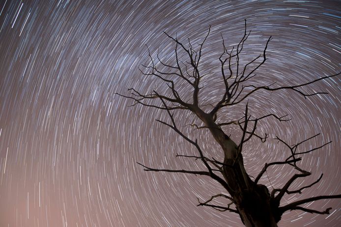 Door de lange sluitertijd lijkt het alsof een boom in het noordelijke deel van Cantabrië het centrum vormt van een meteorietenregen boven Spanje. Foto Pedro Puente Hoyos