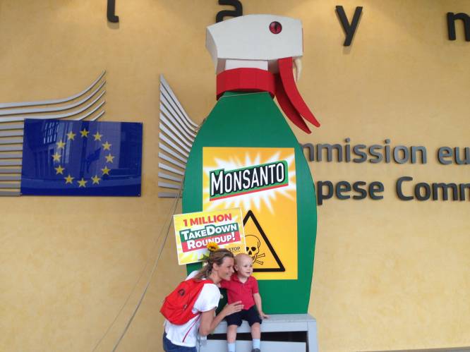 Europese lidstaten mogen nog vijf jaar omstreden glyfosaat gebruiken