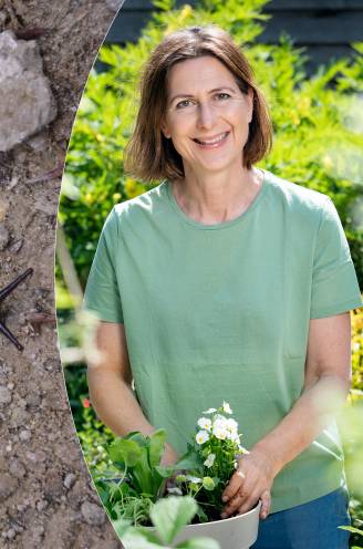 Hoe bestrijd je best slakken in je tuin? Tuinexperte legt uit wat wél en niet werkt: “ Met elke slak die je nu vangt, smoor je een hele generatie in de kiem”