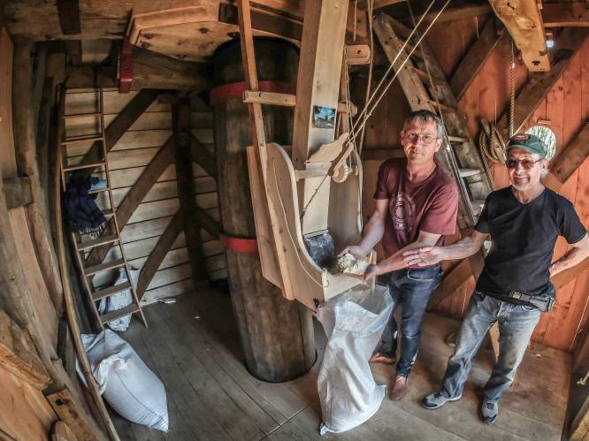 Bezoek gratis de Lijstermolen van Westouter 