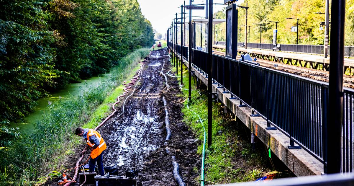Treinreizigers opgelet: vanaf 20 oktober extra reistijd tussen Dordrecht en Lage Zwaluwe - BN DeStem