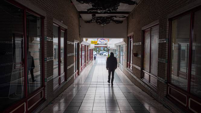Spinnen hebben tijd van hun leven in de winkelpassage in Gennep, nóg wel