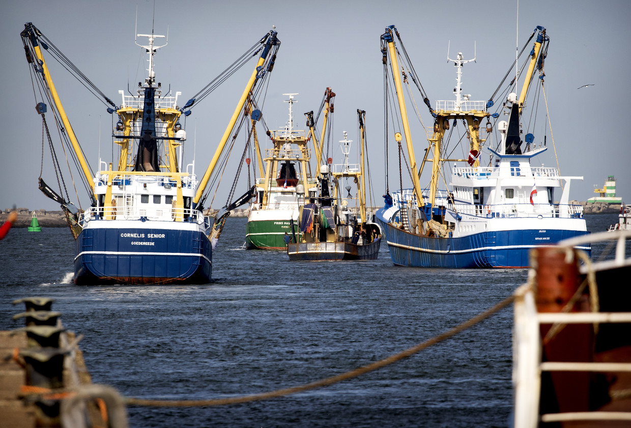 Nederlandse vissers hebben zich aangesloten bij de boerenprotesten tegen de stikstofplannen van de overheid. Ze blokkeerden eerder deze maand de haven van IJmuiden. Beeld ANP /  ANP