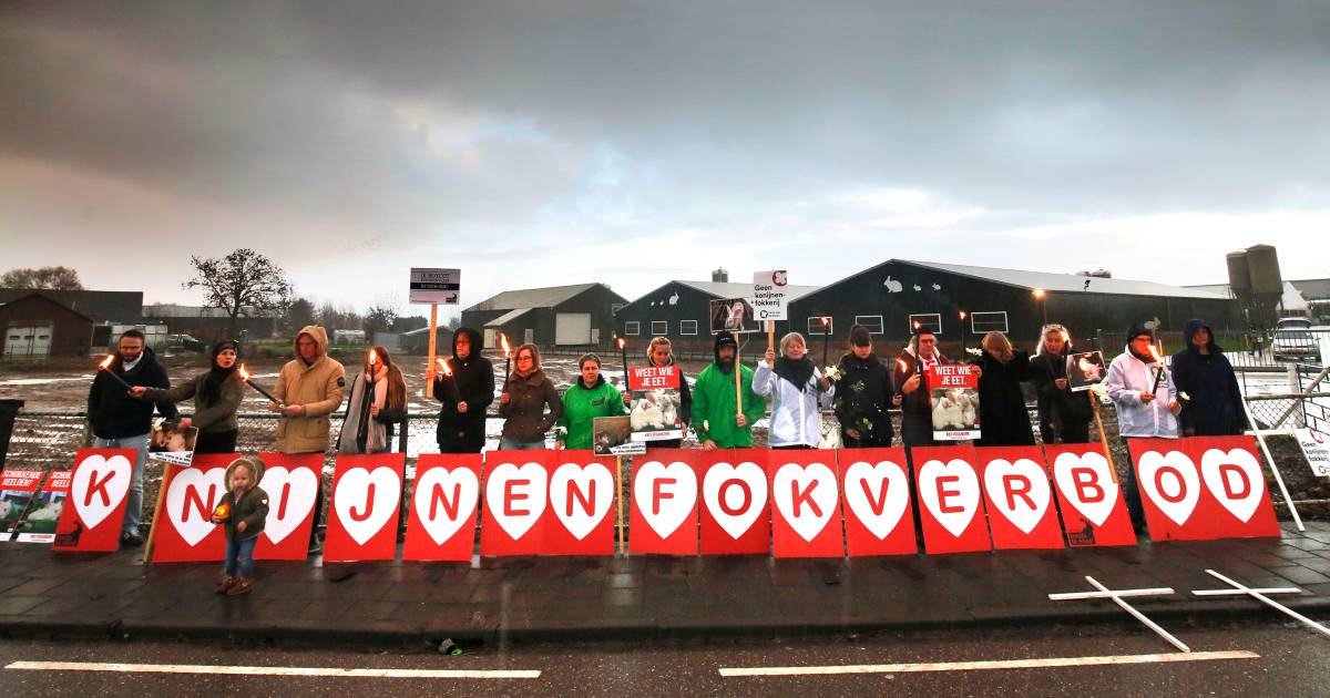 Opnieuw protest tegen konijnenfokkerij in Leerbroek