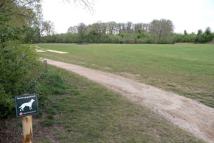 Het hondenlosloopterrein in Denekamp.